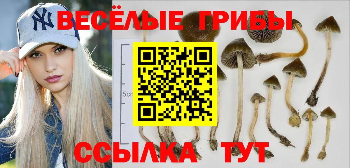наркошоп  Галлюциногенные грибы ЛСД  Вход с VPN  Галлюциногенные грибы Cubensis  Киров 